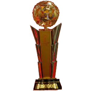 Qatar Stars Cup (Ooredoo Cup) – vítěz
