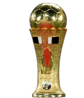 Emir of Qatar Cup – vítěz