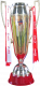Indian Super Cup – vítěz