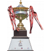 Nepal Super League – vítěz