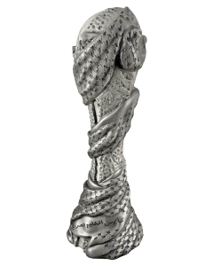 Arabian Gulf Cup – vítěz