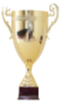Maďarský ligový pohár – vítěz