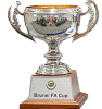 Brunei Cup – vítěz