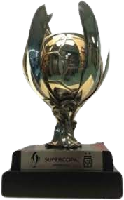 Supercopa Argentina – vítěz