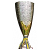 Algarve Cup – finalistka