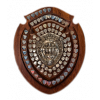 SWPL Cup – vítězka