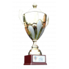 Confederations Cup – Finalista