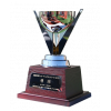 Women's Super League – finalistka