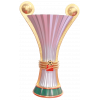Švýcarský pohár ženy – finalistka