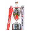 Japonský League Cup – vítěz