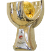 Turecký superpohár – vítěz