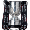EFL Cup – vítěz