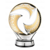 OFC Champions League – vítěz
