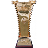 Chinese FA Cup – vítěz