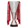 Football League Trophy – vítěz