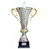Serie D – vítěz