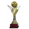 Liga FPD – mistr (Clausura) – vítěz