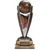 Indonesian League Cup – vítěz