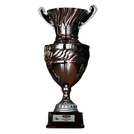 Bulgarian Supercup – vítěz