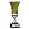 League Cup (Hong Kong) – vítěz