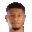 N. Fernandez