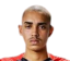 Marcelo Ajul - Statistiky