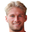 Harry Perritt