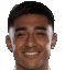 J. Araujo