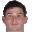 M. Freese