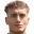 D. Vitasek