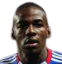 Donald Nzé - Trofeje