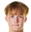 Elis Wahl