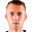 V. Damjanic