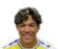 Francis Castillo-Orellana - Statistiky