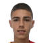 Petar Anicic - Statistiky