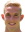 R. Janse