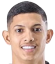 Pulga