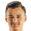 K. Alajbegovic