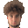 P. Amici