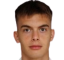 Mihajlo Petkovic
