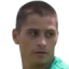 Danilo Radosevic
