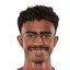 Ibrahim Mohammed Al-Hassan - Statistiky
