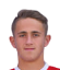 Dominik Kriz