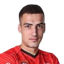 Vlado Gajic