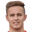 J. Wulff