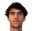 Manulama