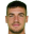 J. Mitrovic