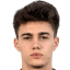 Nikola Mituljikic