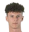Š. Misek