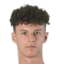 Š. Misek